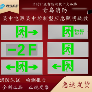 集中电源集中控制型应急标志灯具疏散指示灯（全金属彩钢面板、镀锌板背板）